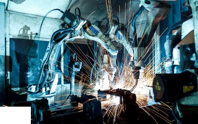 Innovación y experiencia